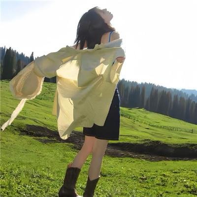 与敌人同行海报