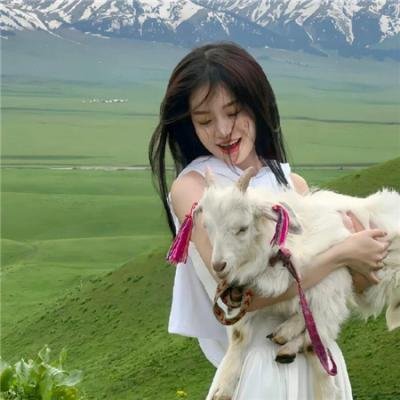 笑破胆海报